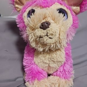 Little live pet dog